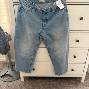 NWT Madewell Curvy Darted Barrel Jeans